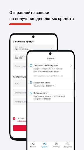 Direct Pay Screen 2
