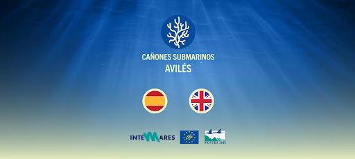 Android application SISTEMA DE CAÑONES AVILES RA screenshort