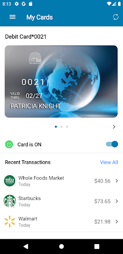 SCI Card Manager Screen 2