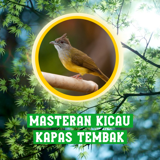 Masteran Kicau Kapas Tembak logo