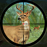 Forest Deer Hunting icon