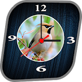 Bird clock live wallpaper icon