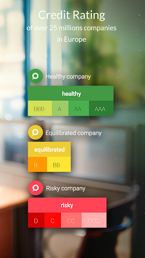 s-peek - Credit Rating Screen 2
