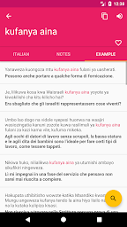 Italian Swahili Offline Dictionary & Translator
