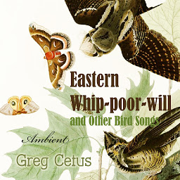 Obraz ikony: Eastern Whip-poor-will and Other Bird Songs: Nature Sounds for Trance and Meditation