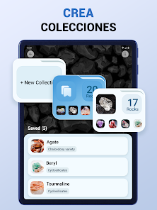 Imagen de la captura de pantalla
