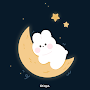 카카오톡 테마 - 밤하늘 토끼 (카톡테마)