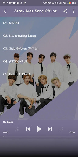 Stray Kids Song Offline