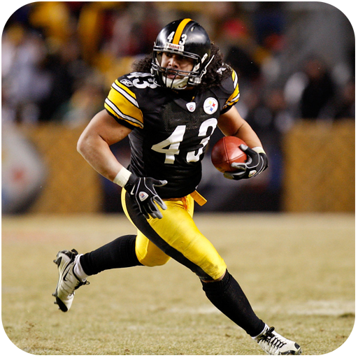 Pittsburgh Steelers Wallpapers icon