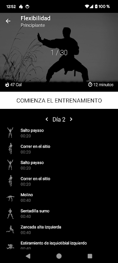 Vista previa de la aplicación