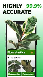 Plant Care: Plant Identifier