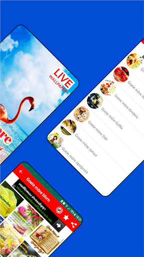 Afrikaans Morning to Night Screenshot 2 - AppWisp.com