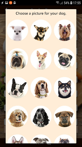Feedya Dog Screen 2