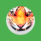 BaghChal - Tigers and Goats icon