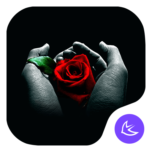 Rose|APUS Launcher theme  Icon