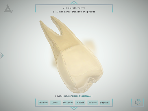 3Dental Screenshot 3 - AppWisp.com