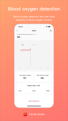 Fenda Smart Screen 2