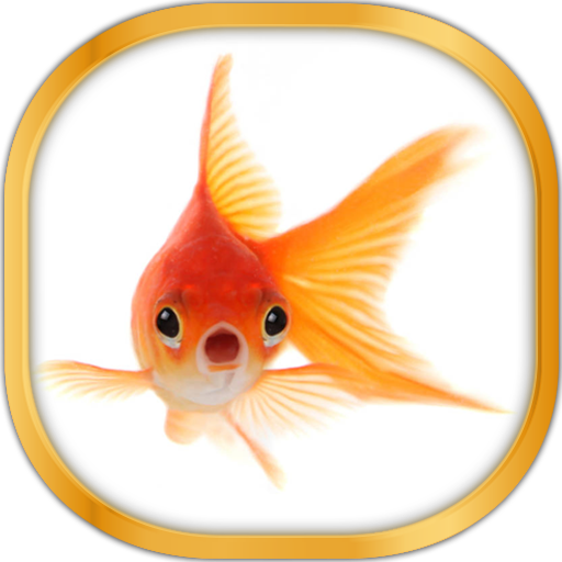 金魚ライブ壁紙 Google Play のアプリ