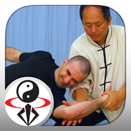 Tai Chi Martial Applications 1.0.1 Icon