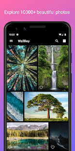 WallRey - Free 10000+ Elegant Screenshot