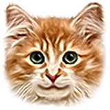 Valiant Kitten icon