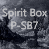 Spirit Box P-SB7 EMF Sensor icon