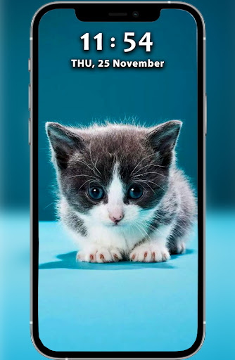 Cat Wallpaper HD Screenshot 2 - AppWisp.com