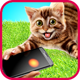 Laser game for cats! icon