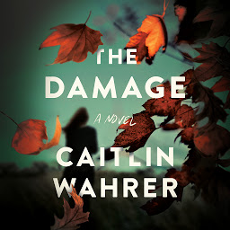Icon image The Damage: A Novel