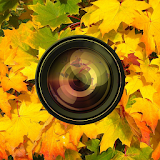 Aki Camera -Autumn & halloween icon