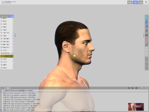 The Combinations For Acupoint Screen 3
