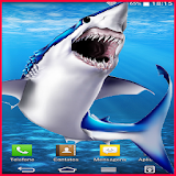 Shark attack icon