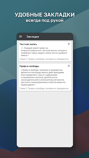 Конституция РФ Screen 3
