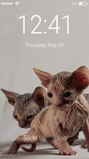 Cute Kitten Sphinx Cat Lock Sc Screenshot 1 - AppWisp.com