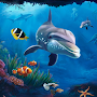 Live Fish Aquarium Wallpapers