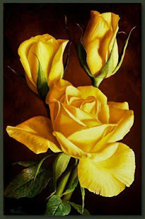 Good morning Flower Wallpapers Colorful Roses 4K(圖3)-速報App