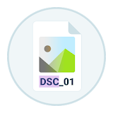 DSC Auto Rename icon