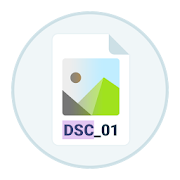 DSC Auto Rename  for PC Windows and Mac