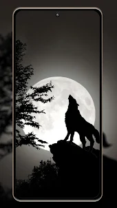 Wolf Wallpapers HD