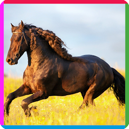 Icon image puzzle game horse