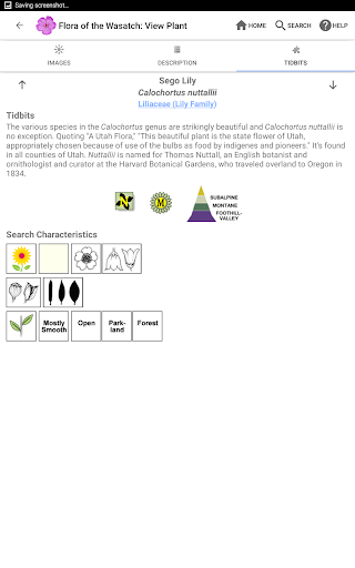 Screenshot of Flora of the Wasatch