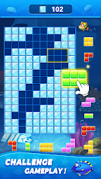 Block Ocean 1010 Puzzle Games