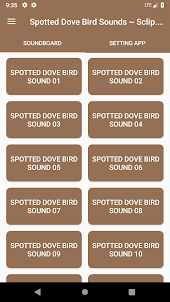 Spotted Dove Bird Sounds ~ Scl