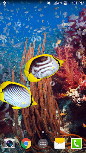 Android application Aquarium Undersea wallpaper screenshort