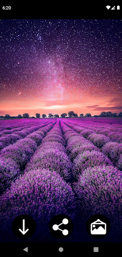 Android application Lavender Wallpapers screenshort