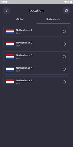 Netherlands VPN: Secure & Fast Screen 3