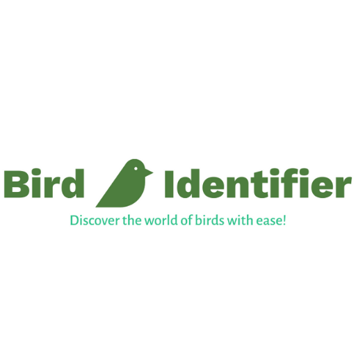 Bird Identifier