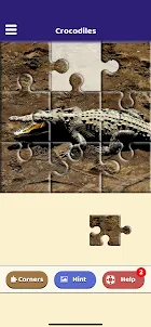 Crocodile Lovers Puzzle