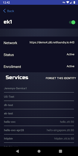 Ziti Mobile Edge Screen 3