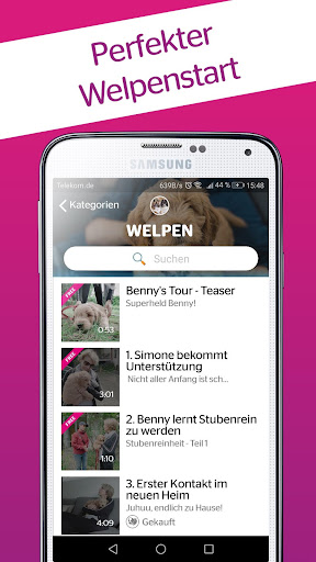 DogDict Screen 3